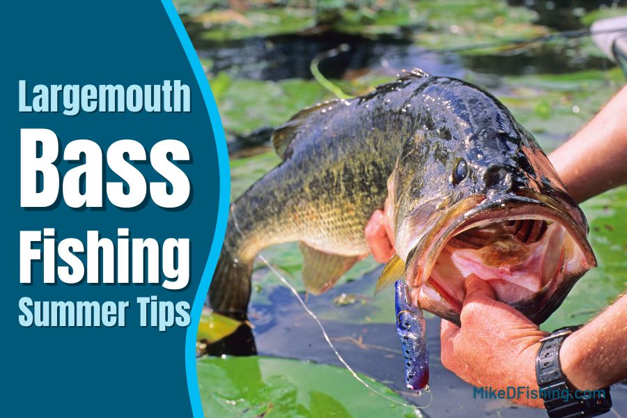Largemouth Bass Fishing Summer Tips : Catch More Fish