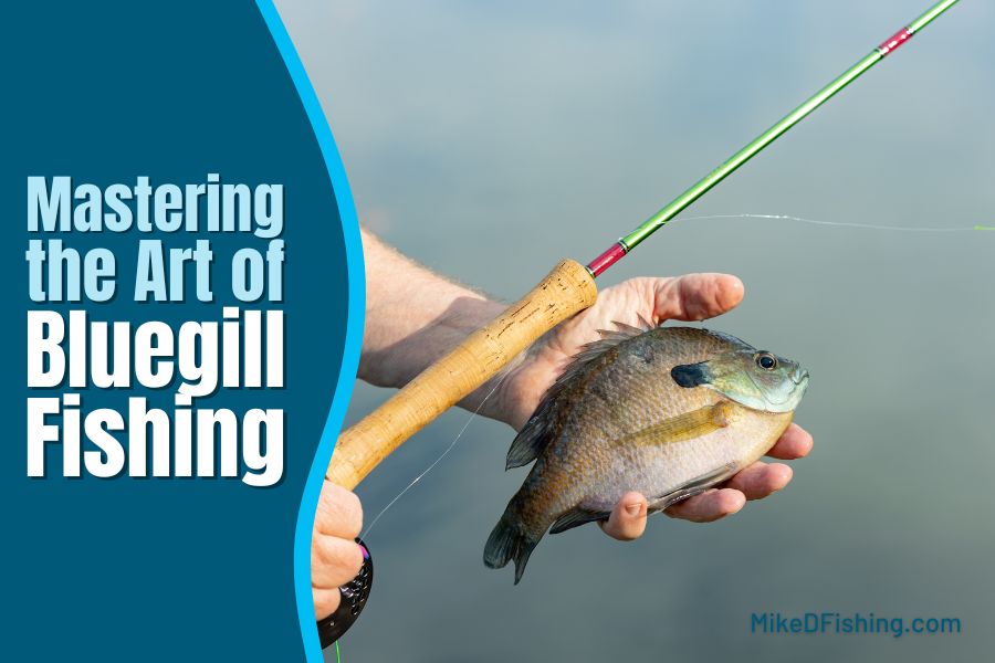 Mastering the Art of Bluegill Fishing: Top Bait Choices and Tips