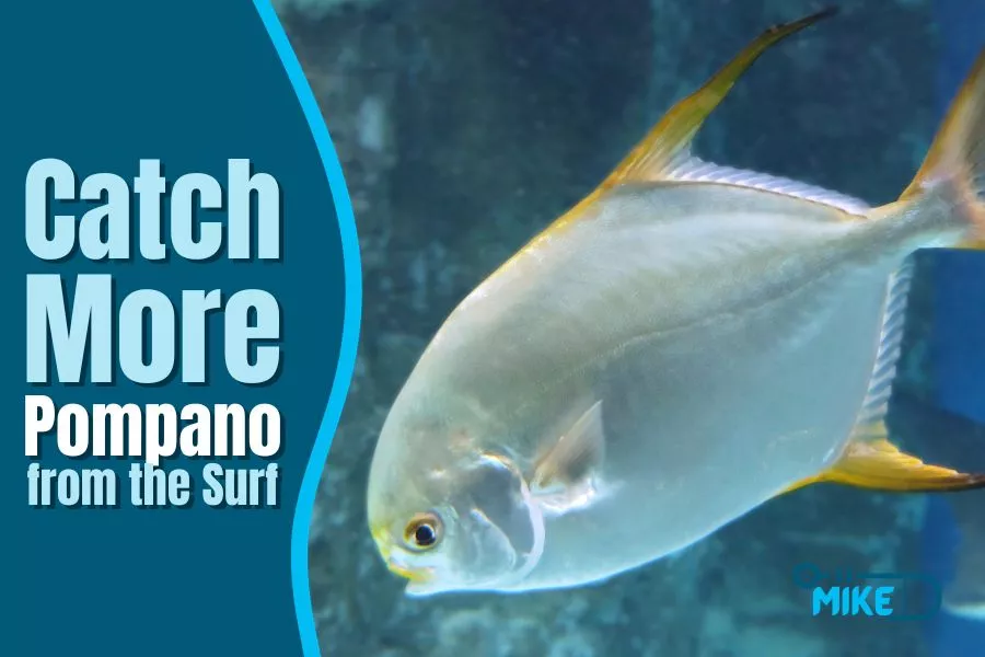 Tips to Catch More Pompano from the Surf