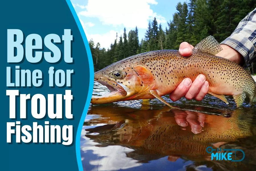 Best Line for Trout Fishing