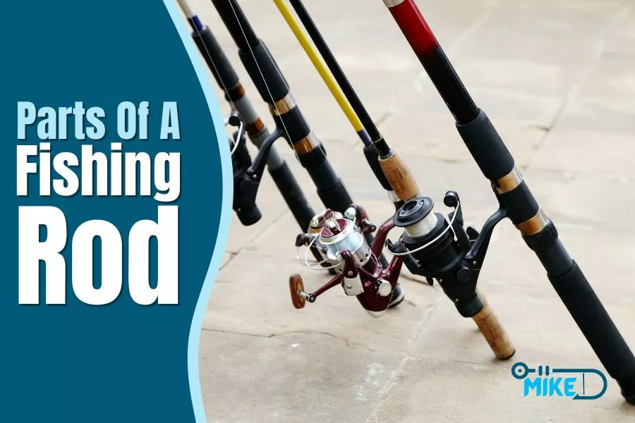parts of a fishing rod